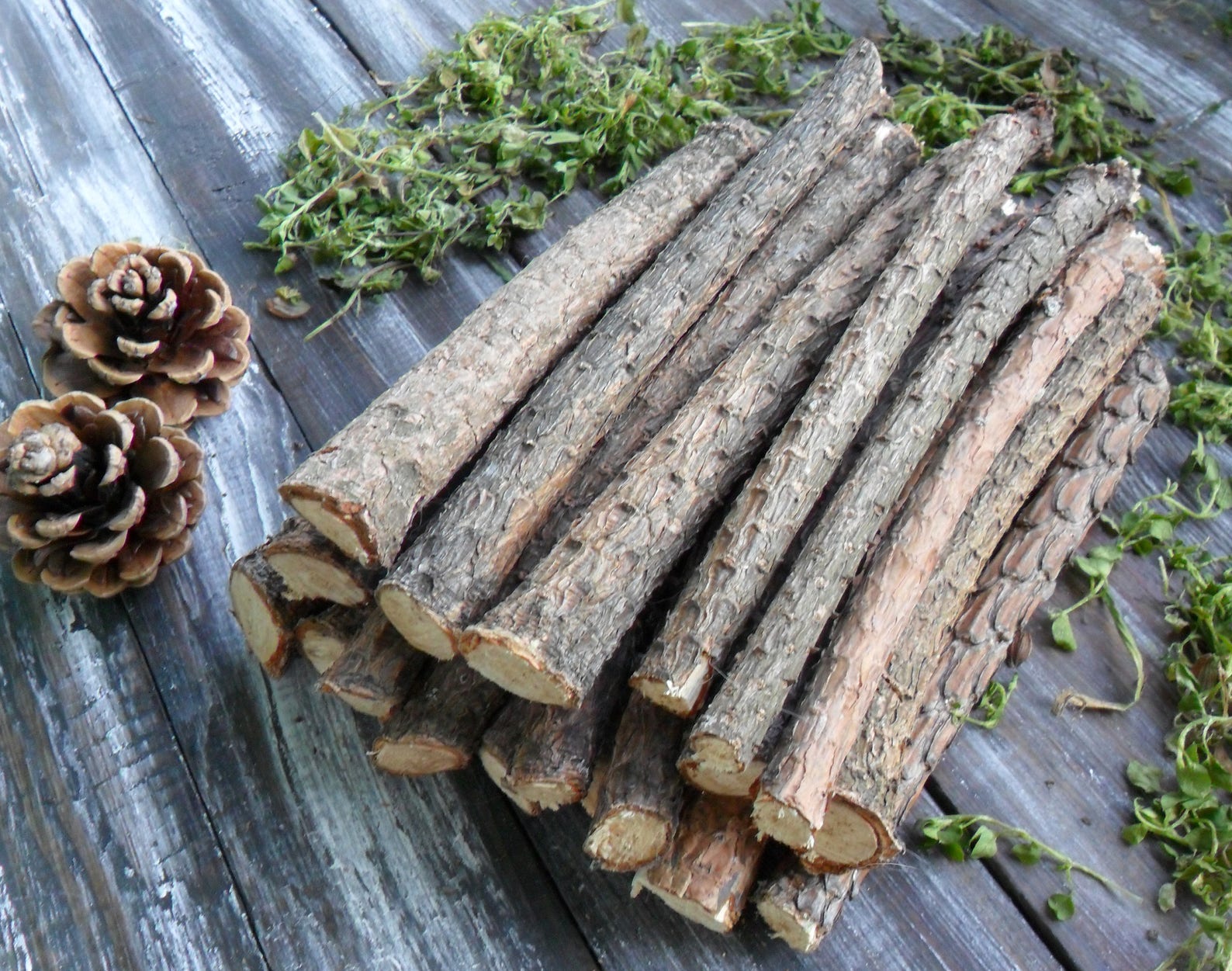 20 Pine Sticks 7 for Craft Pine Wand Wood Pine Tree Wood Etsy