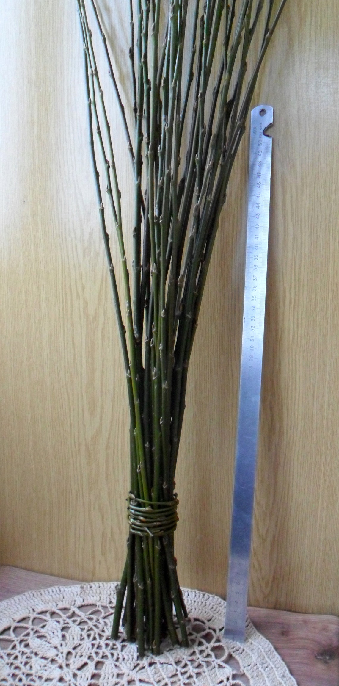 40 Extralong willow twigs Willow bundle Eco friendly Etsy