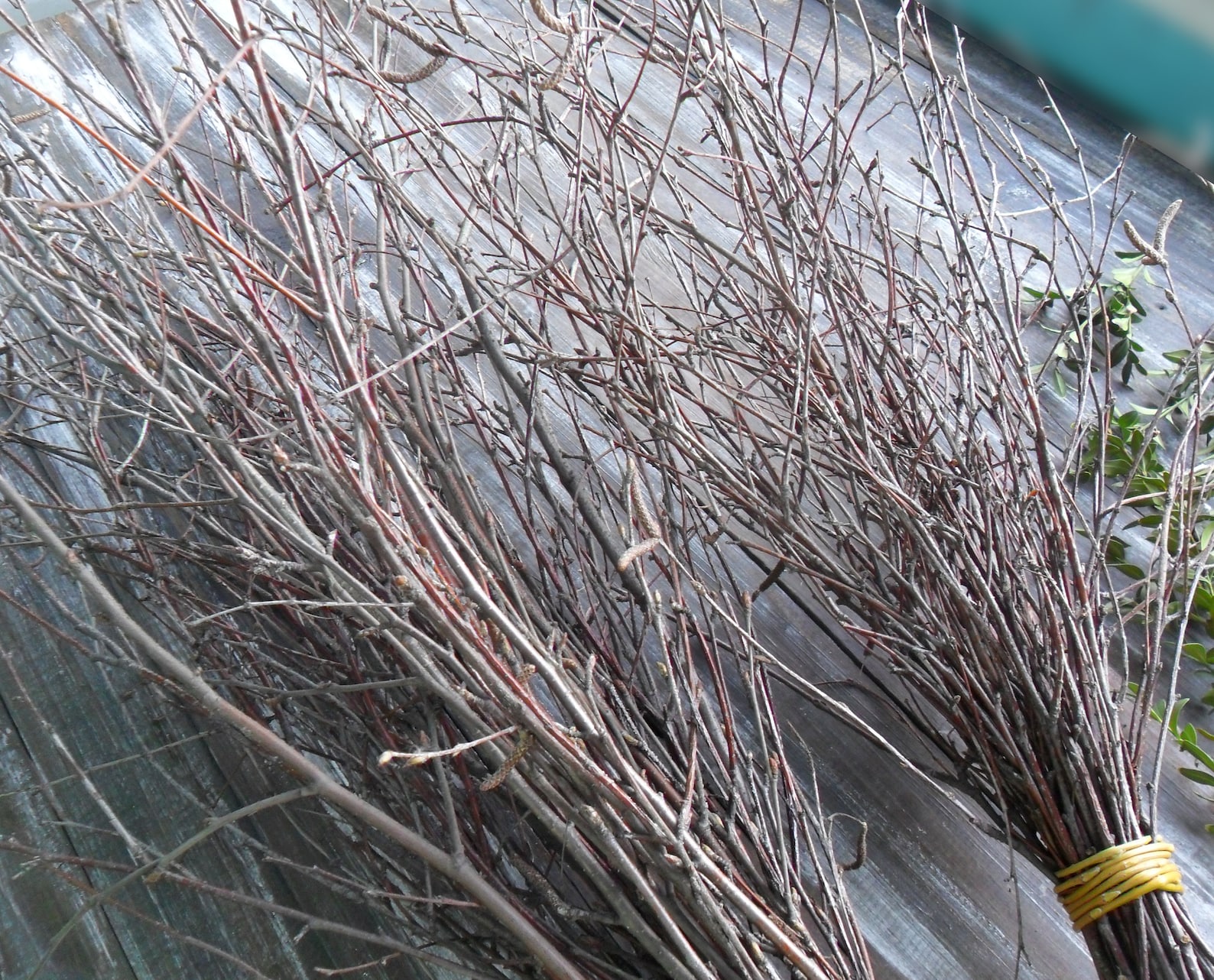 Decorative Birch Branches Forest Birch Twigs Bundle Woodland Etsy