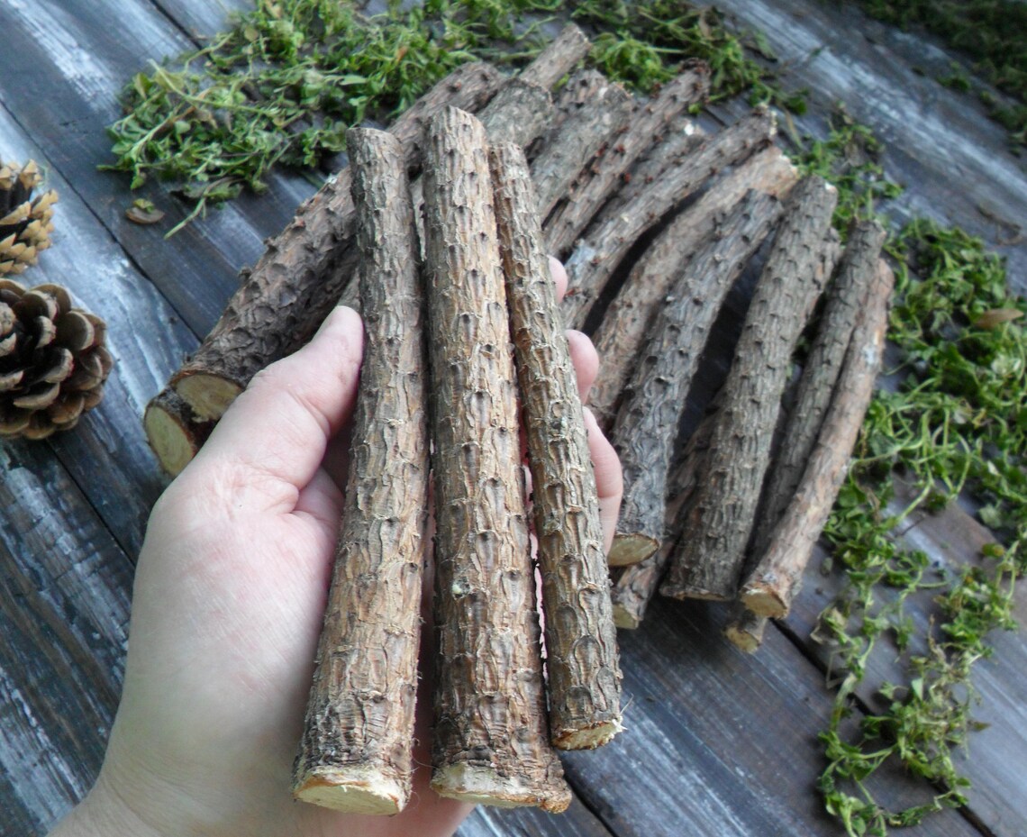 20 Pine Sticks 7 for Craft Pine Wand Wood Pine Tree Wood Etsy
