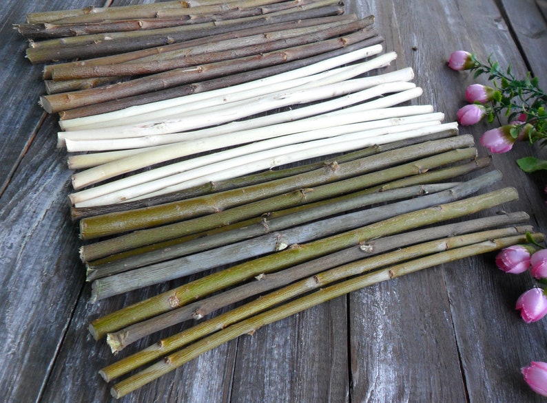 Wood sticks 10 Mix of wood dried Twigs cuts pieces Twigs Etsy