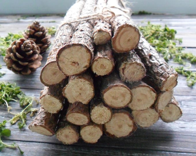20 Pine Tree Decorative Sticks for Handmade Assorted Branches Etsy