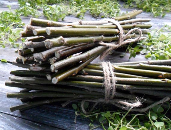 willow branches straight willow