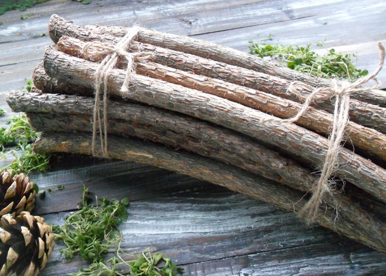 20 Pine tree Decorative Sticks for handmade Assorted branches Etsy