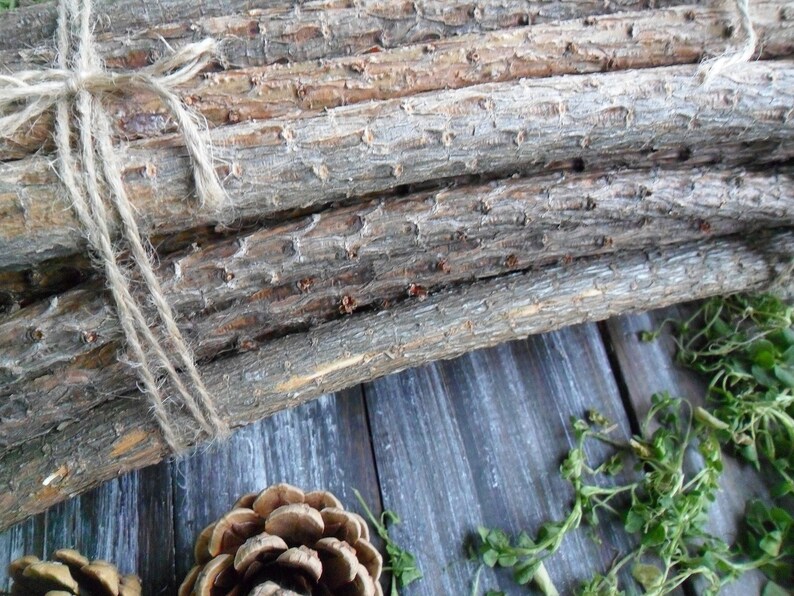 20 Pine tree Decorative Sticks for handmade Assorted branches Etsy