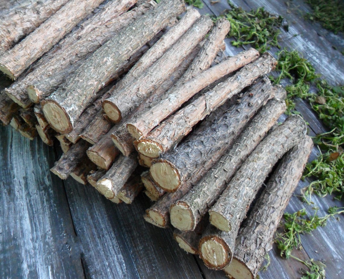 20 Pine Sticks 7 for craft pine wand wood pine tree wood Etsy