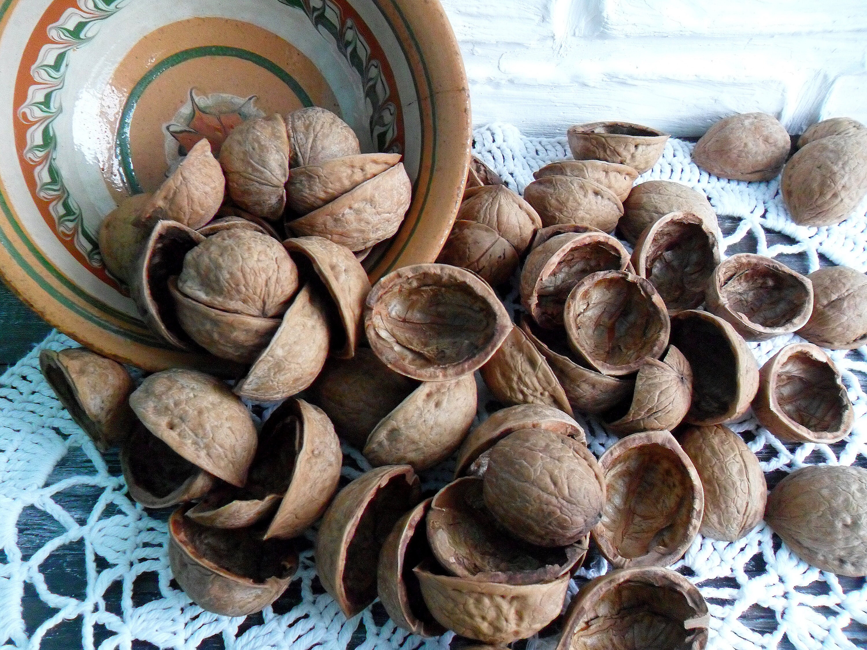 Set of 50 Walnut Shell Halves Round Organic Natural Ornament Etsy