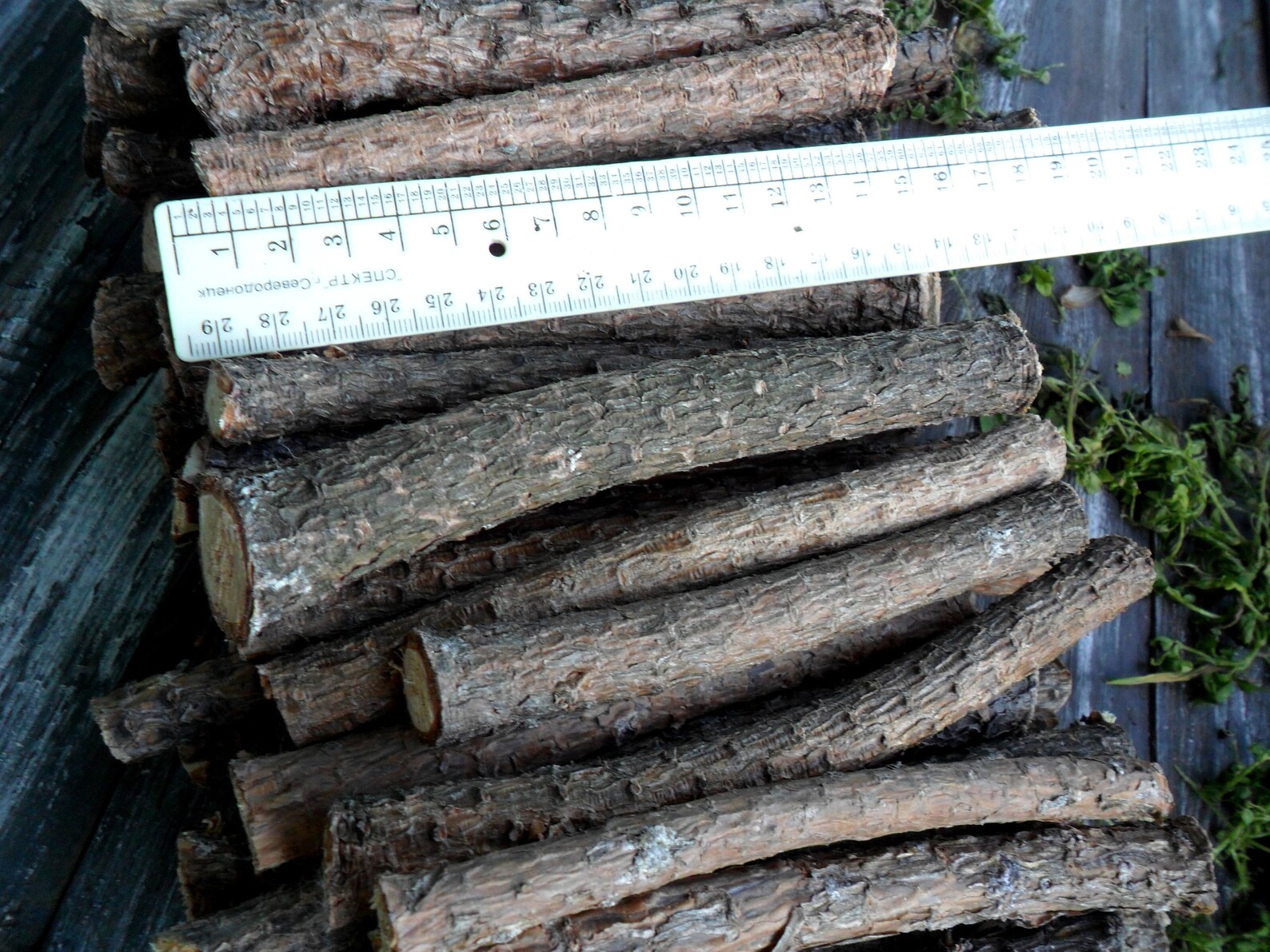 20 Pine Sticks 7 for Craft Pine Wand Wood Pine Tree Wood Etsy