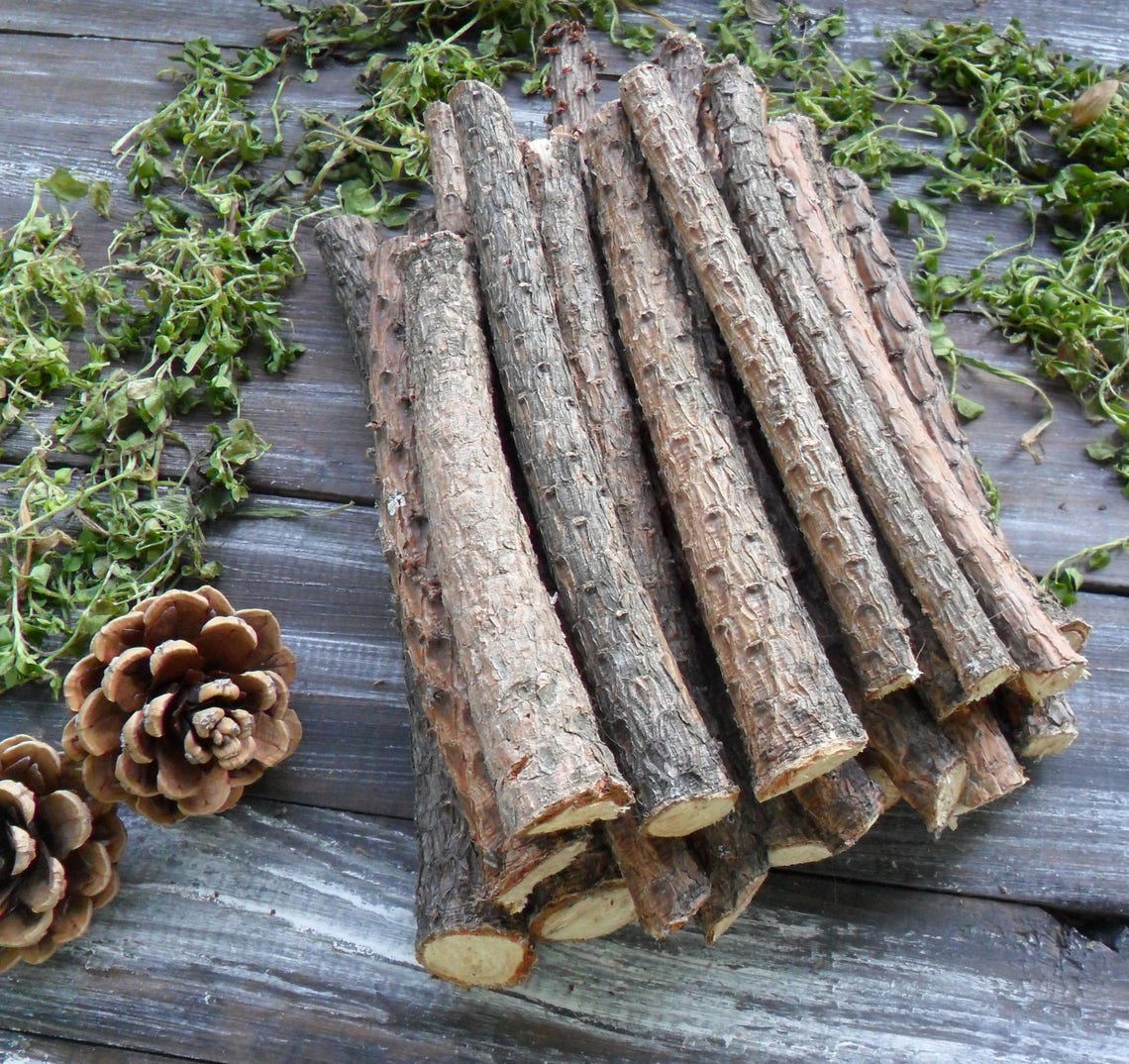 20 Pine Sticks 7 for Craft Pine Wand Wood Pine Tree Wood Etsy