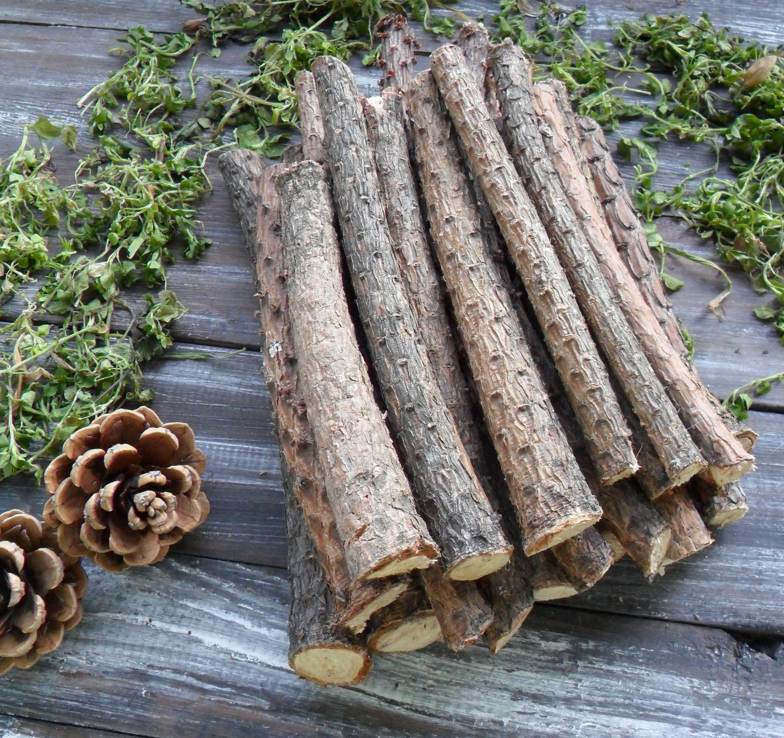 20 Pine Sticks 7 for Craft Pine Wand Wood Pine Tree Wood Etsy