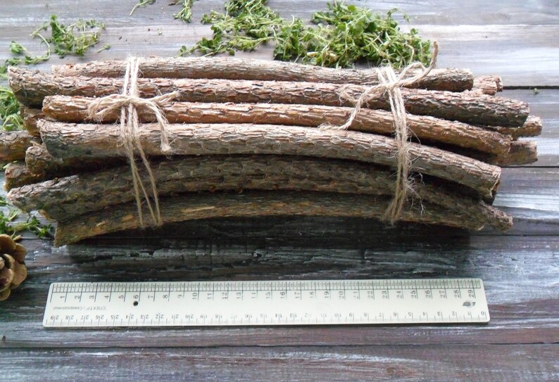 20 Pine tree Decorative Sticks for handmade Assorted branches Etsy