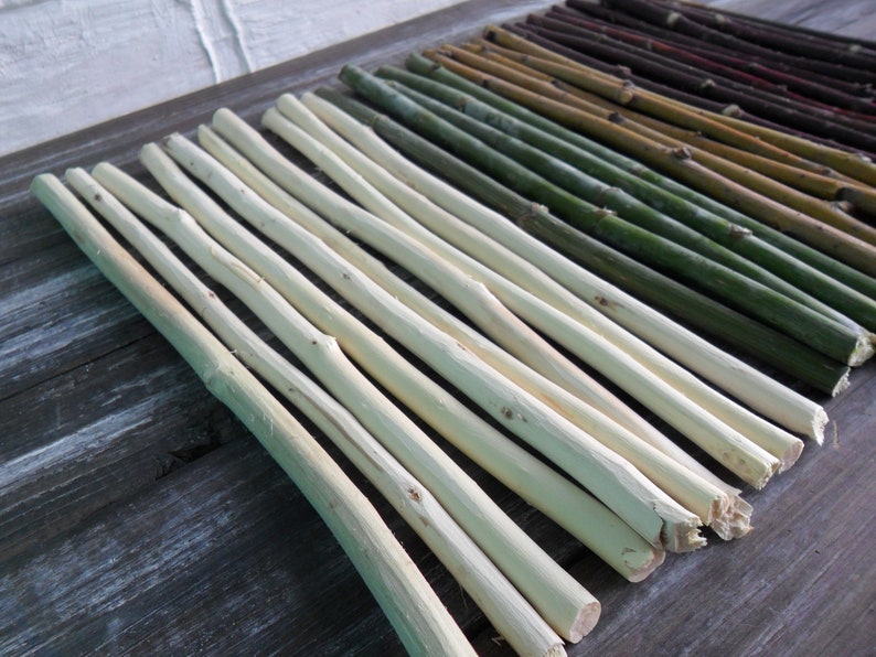 Wood sticks 10 Mix of wood dried Twigs cuts pieces Twigs Etsy