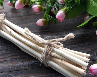 White Willow Wood Sticks 10" for DIY Crafts, Fireplace Decor