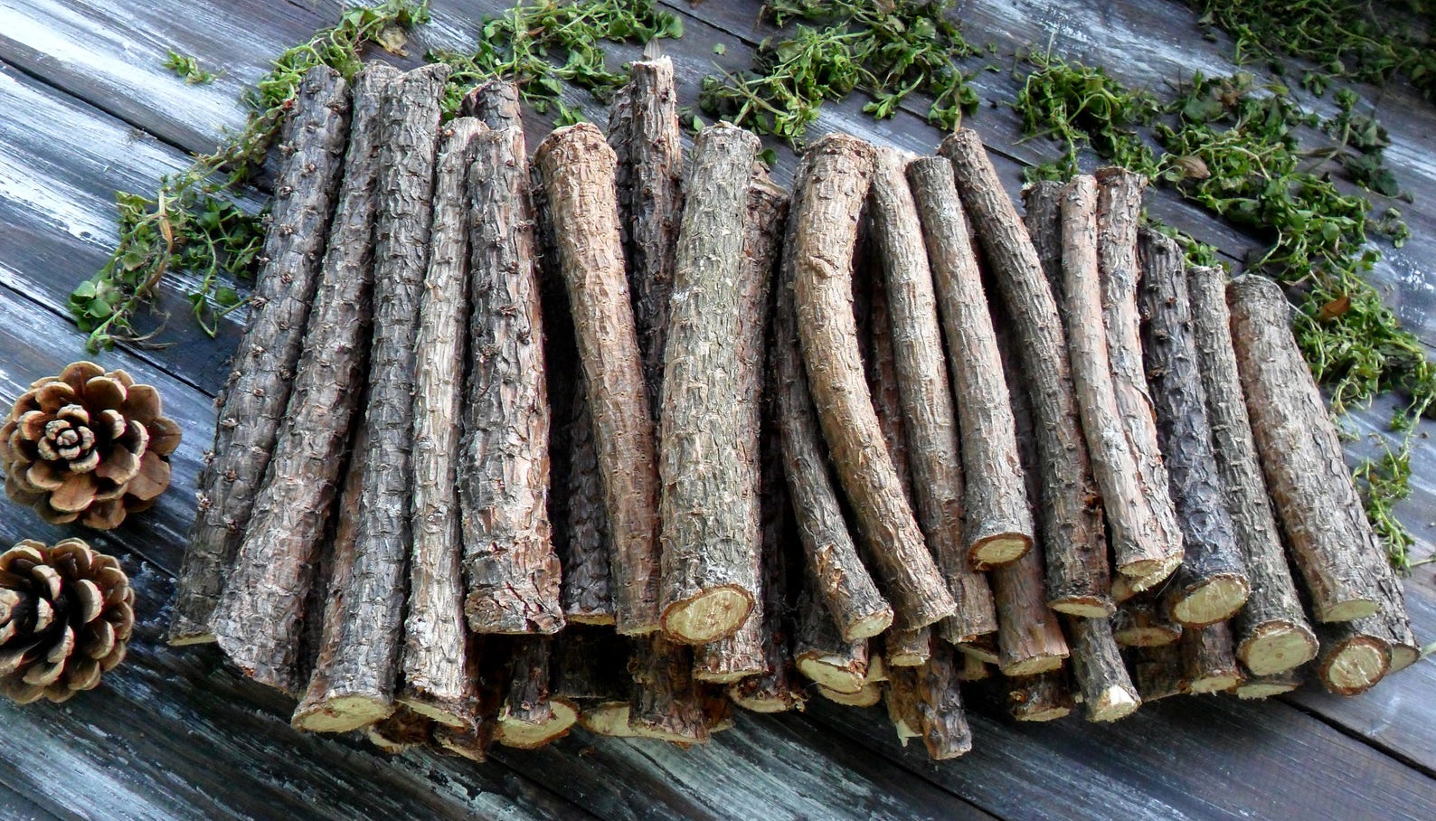 20 Pine Sticks 7 for Craft Pine Wand Wood Pine Tree Wood Etsy