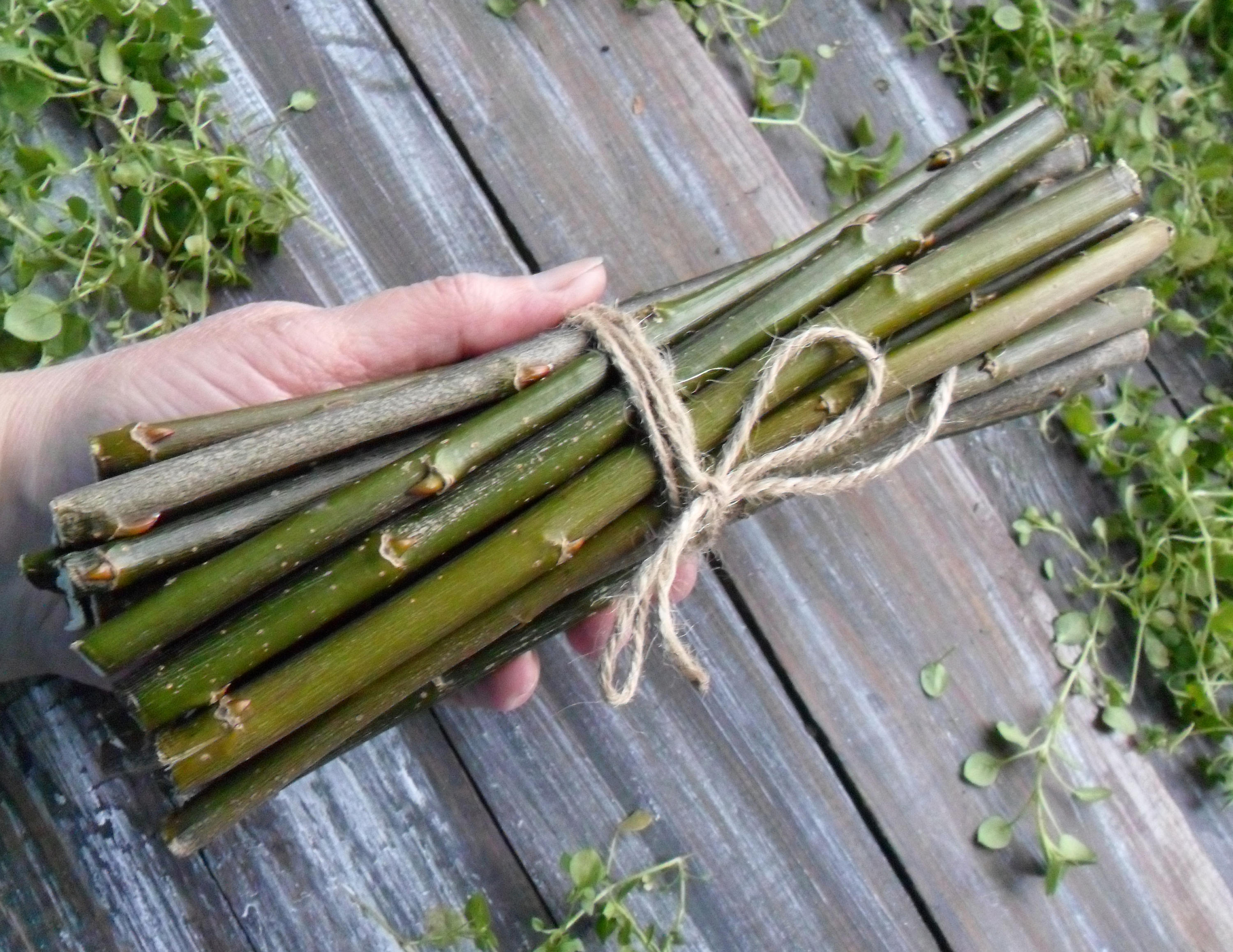 Willow Bundle of 25 Material for Needlework Dry Branches Wood Etsy