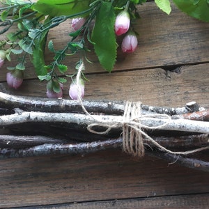 Set 10 white birch branches 12&quot; Birch sticks Decorative birch Wood birch Birch tree decor Natural branches Wooden twigs