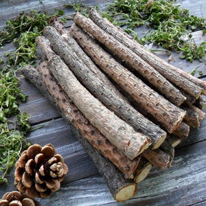 20 bastoncini di pino 7" per bacchette di pino artigianali in legno bastoncini di legno di pino ramoscelli di legno rami naturali bastoncini decorativi decorazione dell'albero di pino decorazione dei tronchi