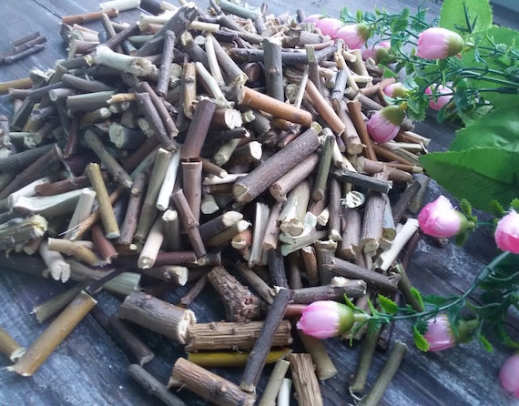 Natural Decor Wooden Confetti Mix Dried Twigs Cuts Pieces Vase Etsy