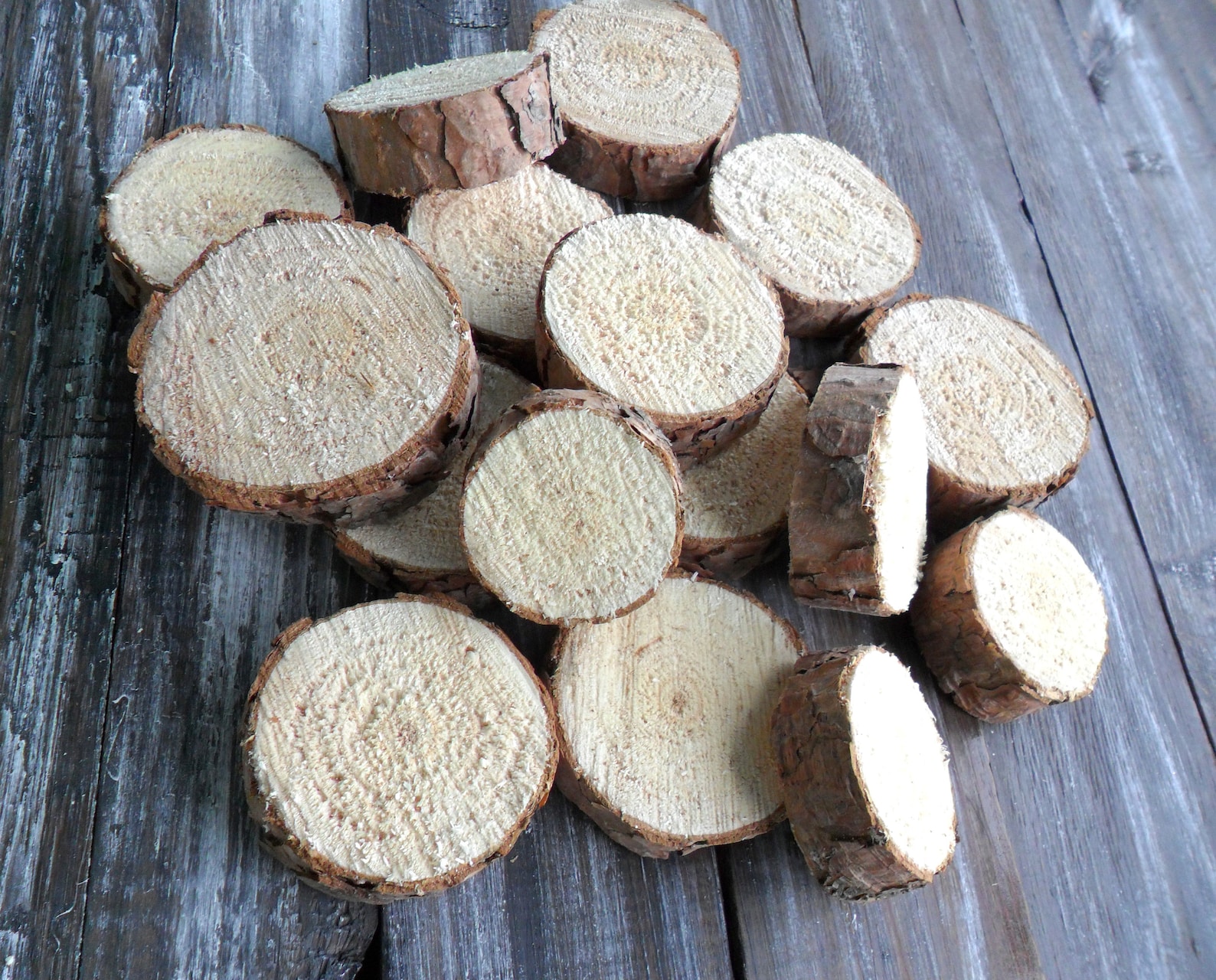 13 Natural Wood Slices DIY Wooden Craft Wood Slices Circles Etsy