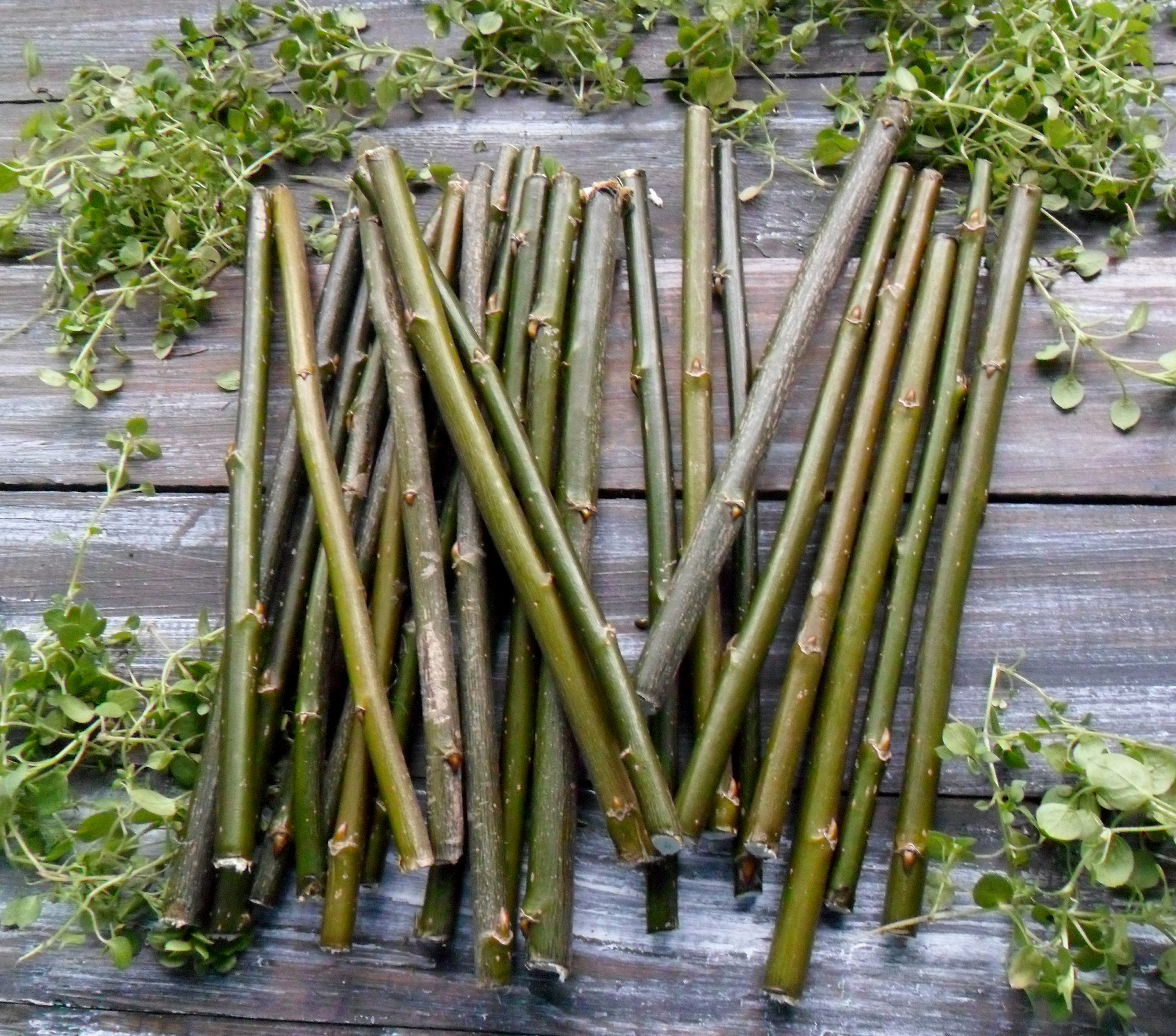 Willow Bundle of 25 Material for Needlework Dry Branches Wood Etsy UK