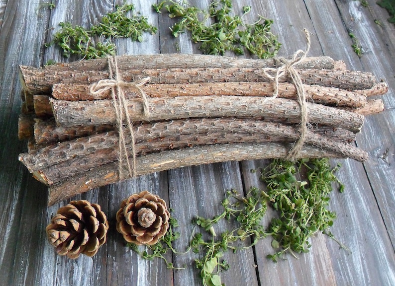 20 Pine tree Decorative Sticks for handmade Assorted branches Etsy