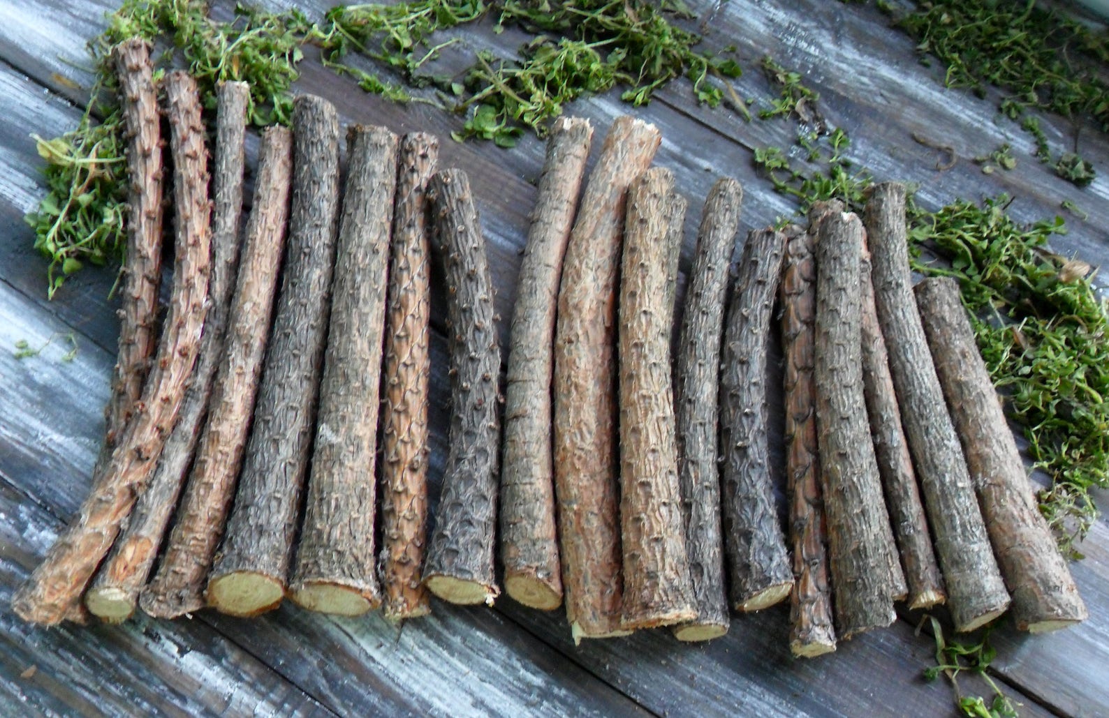 20 Pine Sticks 7 for Craft Pine Wand Wood Pine Tree Wood Etsy