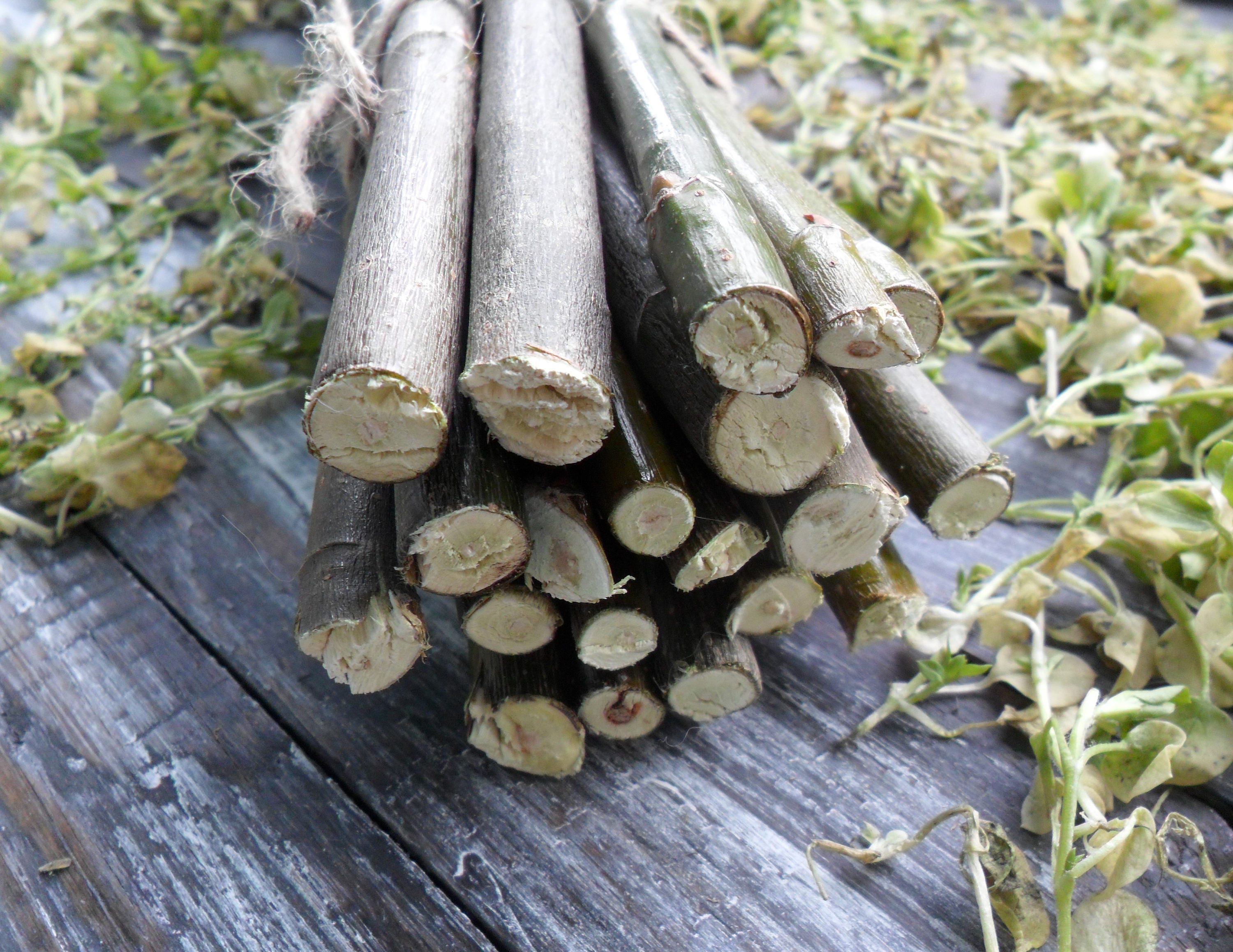 Willow sticks set of 20 pcs 12 long Dry branches Etsy