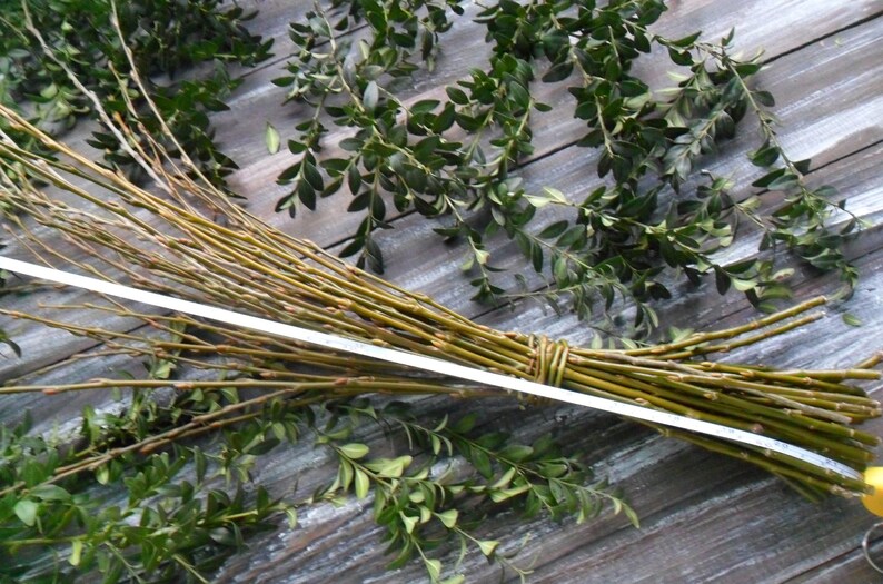 40 Green Willow Branches Length 23 Willow Twigs Set Etsy