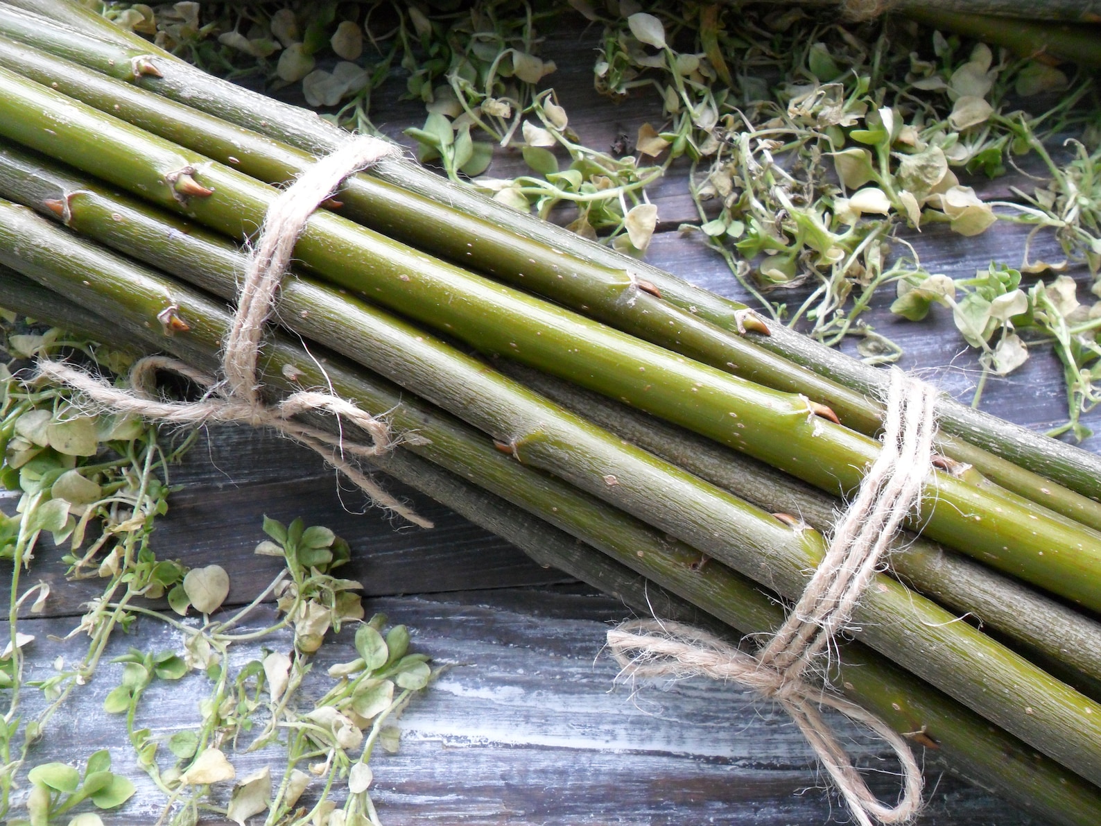 Willow sticks set of 20 pcs 12 long Dry branches Etsy