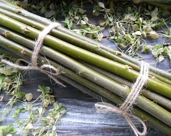 Willow sticks set of 20 pcs 12&quot; long Dry branches Decorative Branch Natural wooden craft Handicraft material for needlework Green decor