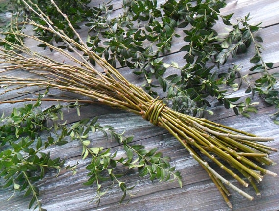 40 Green Willow Branches Length 23 Willow Twigs Set Vases Filler Rustic  Home Decor Cottage Style Thanksgiving Primitive Natural Home Decor 