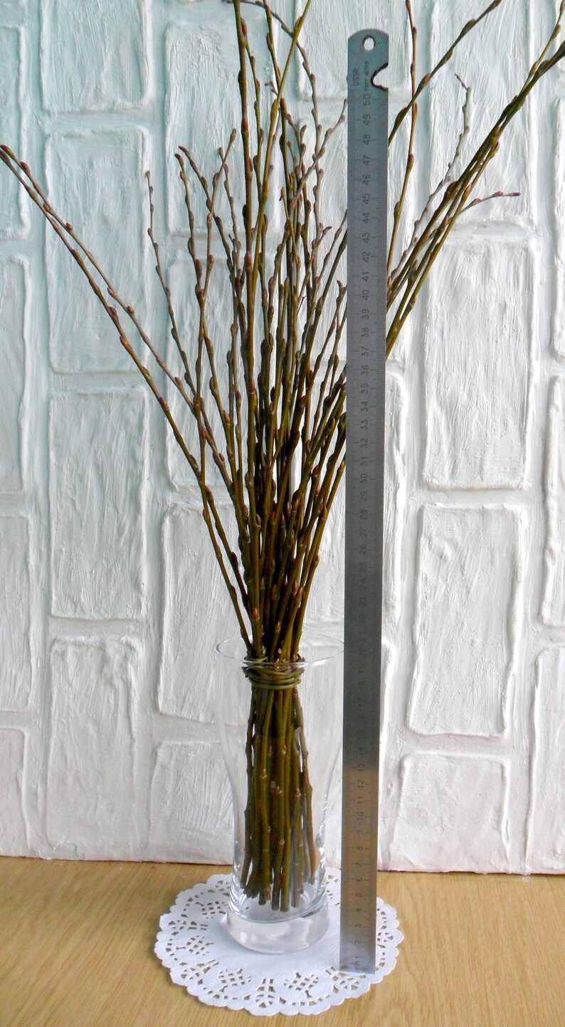 40 Green Willow Branches Length 23 Willow Twigs Set Etsy
