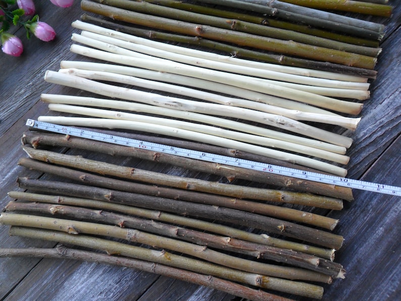 Wood sticks 10 Mix of wood dried Twigs cuts pieces Twigs Etsy