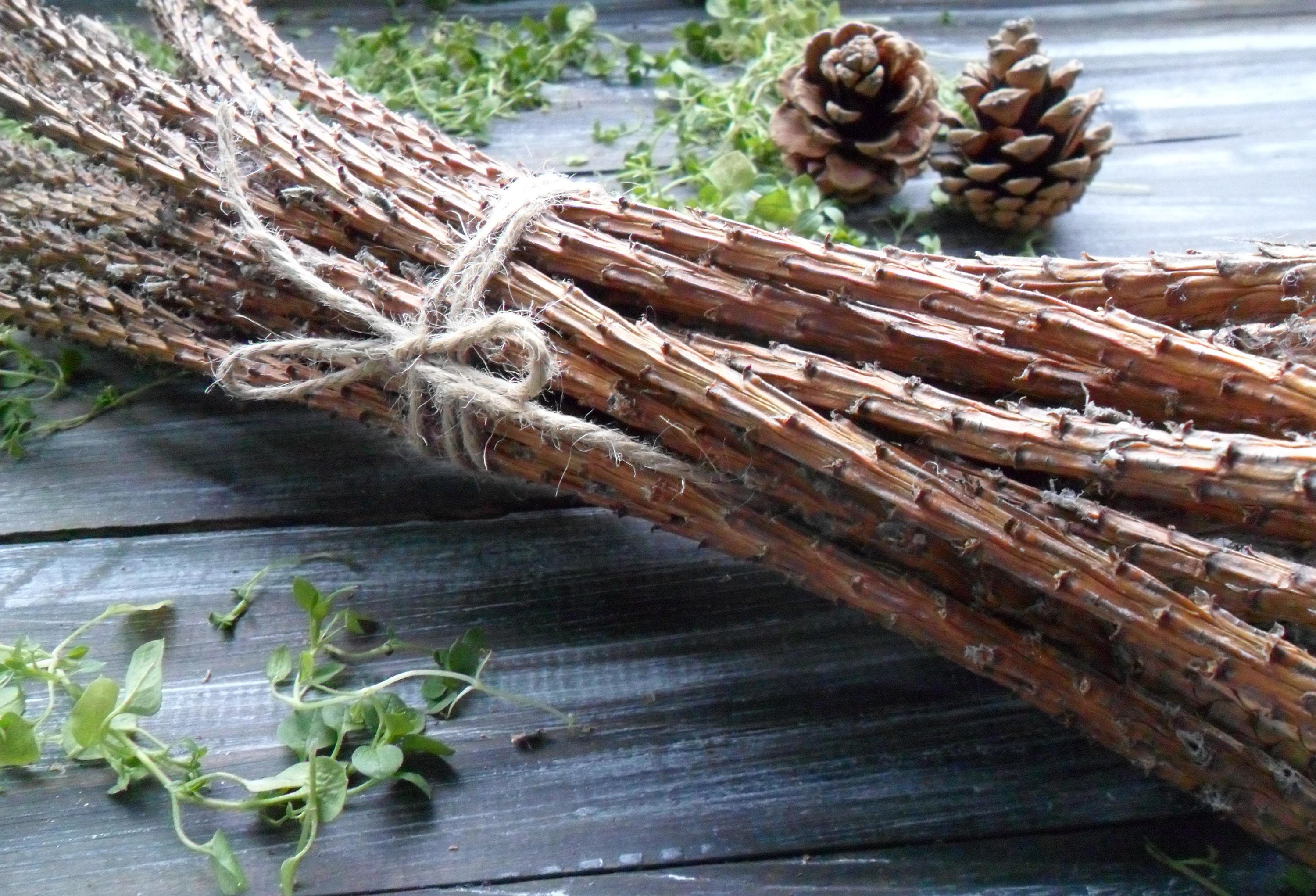 25 crafting twigs Natural pine tree sticks Pine branch bundle Etsy