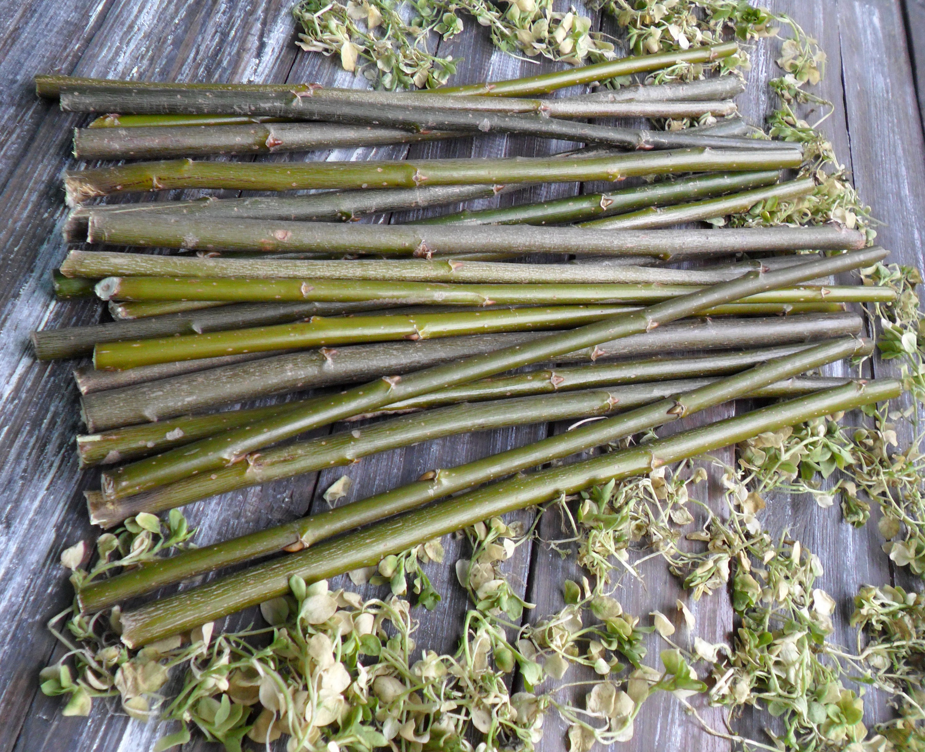 Willow sticks set of 20 pcs 12 long Dry branches Etsy
