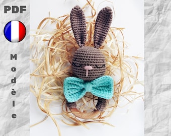 Hochet Lapin Garçon Endormi au Crochet, Modèle créé en Français, Anneau de Dentition Lapin Garçon, DIY fichier PDF Tutorial