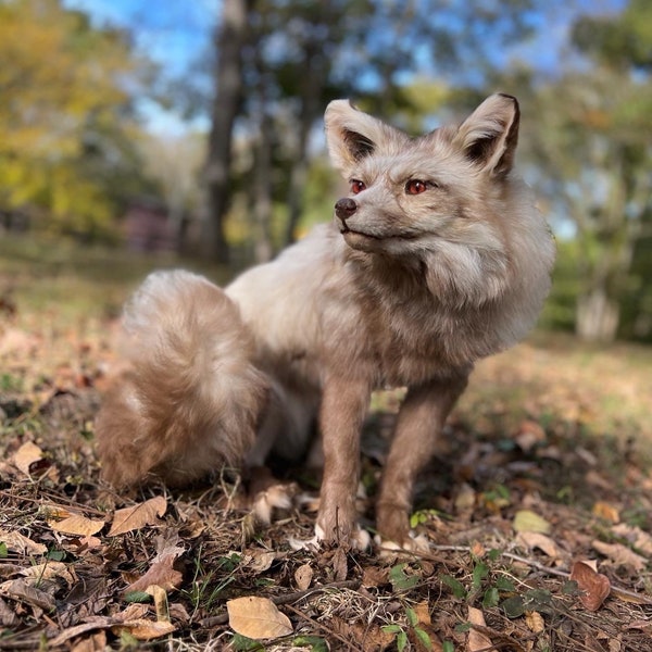 European Snow Glow Soft Mount Fox - Fully Posable