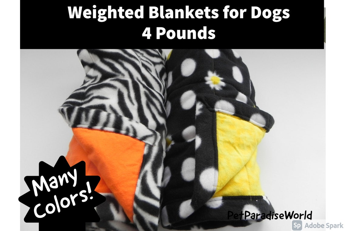 Large 4lb Dog Weighted Blanket Large Pet calming blanket | Etsy