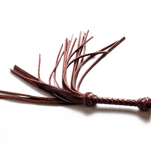 May include: A brown leather whip with a braided handle and a fringe of leather tassels.