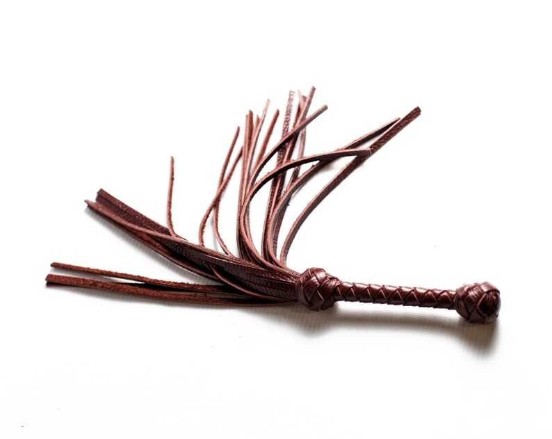 May include: A brown leather whip with a braided handle and a fringe of leather tassels.