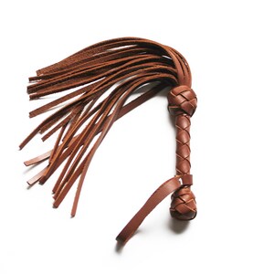 May include: A brown leather whip with a braided handle and a long fringe.