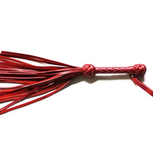 May include: A red leather whip with a braided handle and a fringe of tassels.