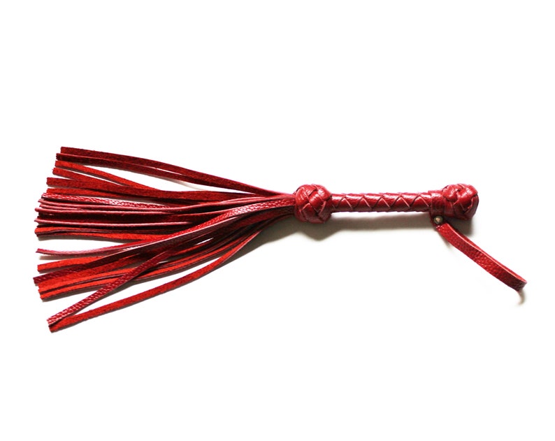 May include: A red leather whip with a braided handle and a fringe of tassels.