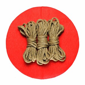 May include: Three golden ropes are arranged on a red circular surface. The ropes are made of a thick, braided material and are tied together in the center.