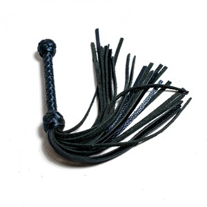 May include: A black leather whip with a braided handle and a long fringe of leather tassels.