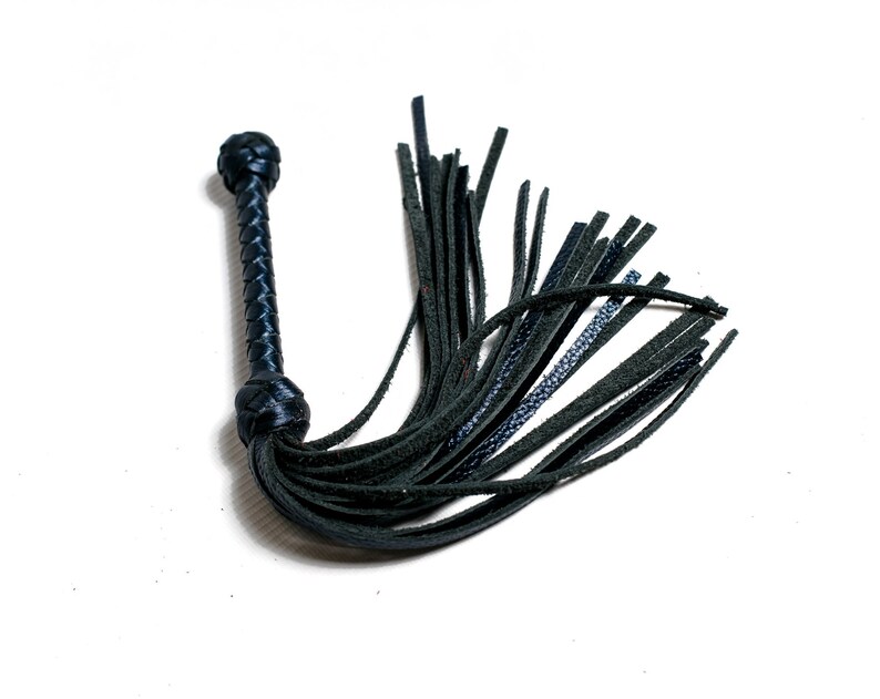 May include: A black leather whip with a braided handle and a long fringe of leather tassels.