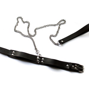 BDSM Leash / Leather Leash with Chain image 8