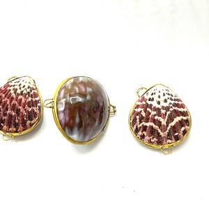 Gorgeous collectible and vintage Trinket  shells, natural, your choice.