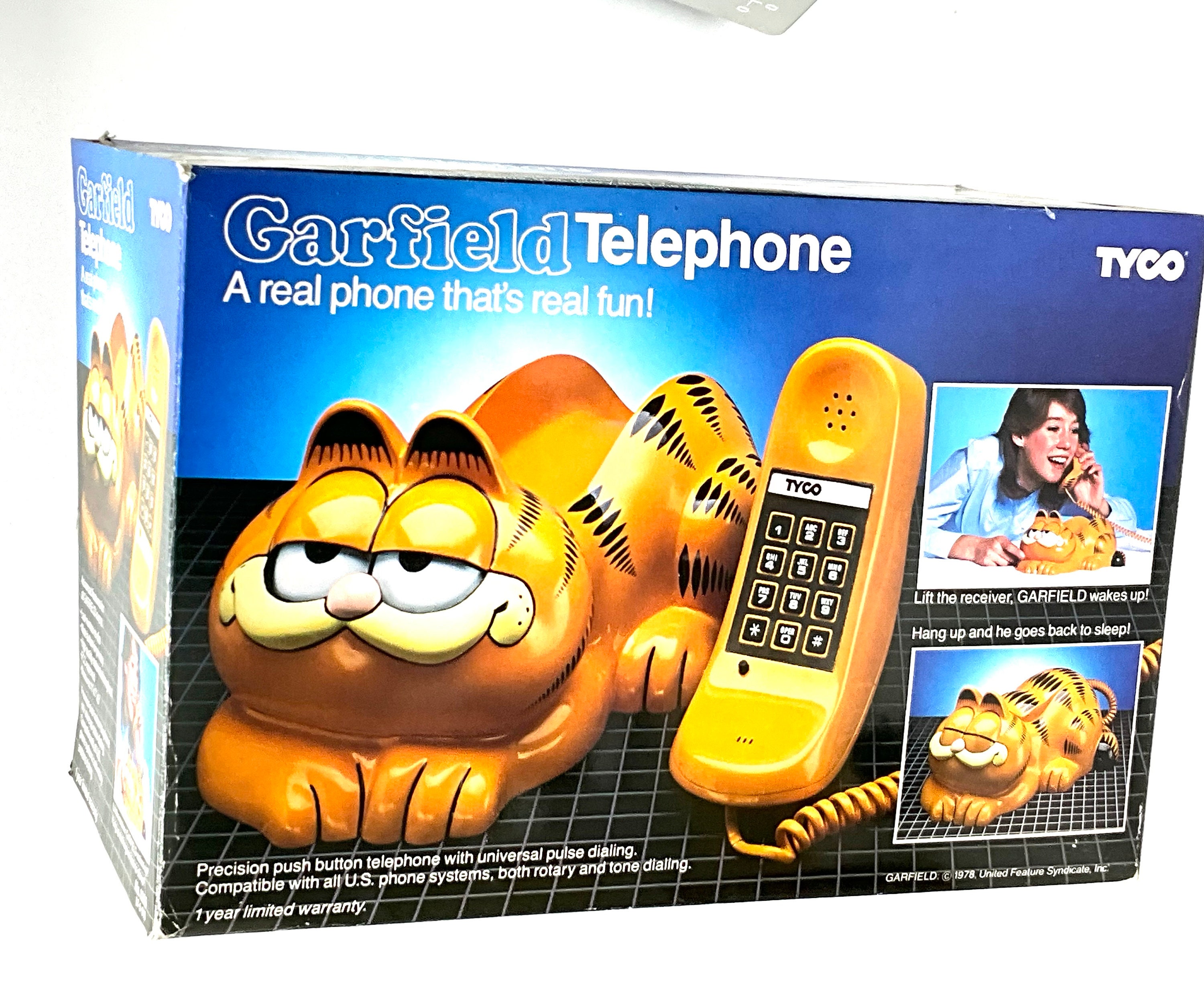 Garfield Sleeping In Box