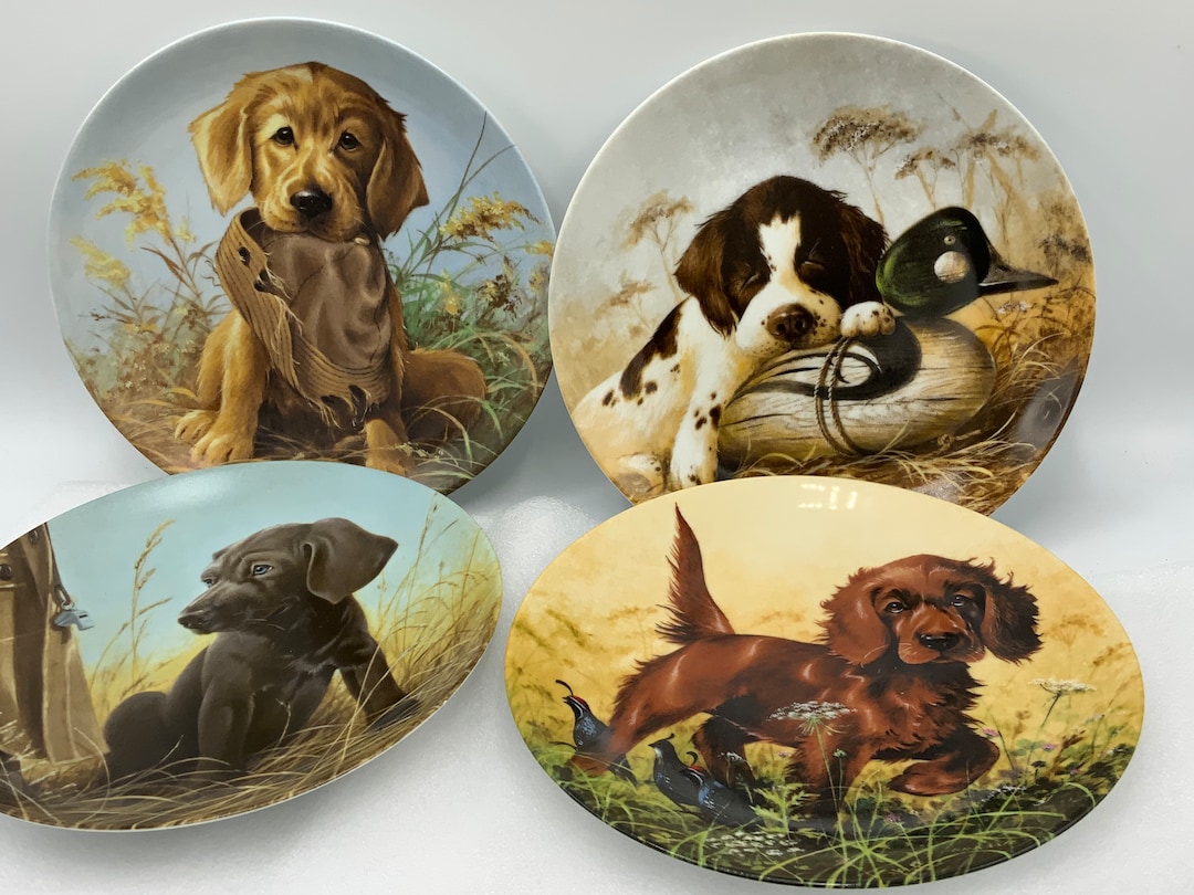 Gorgeous Collectible and Vintage 1988 Plates From Edwin Knowles